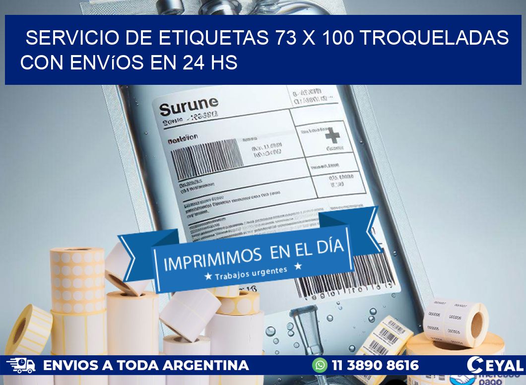 Servicio de etiquetas 73 x 100 troqueladas con envíos en 24 hs