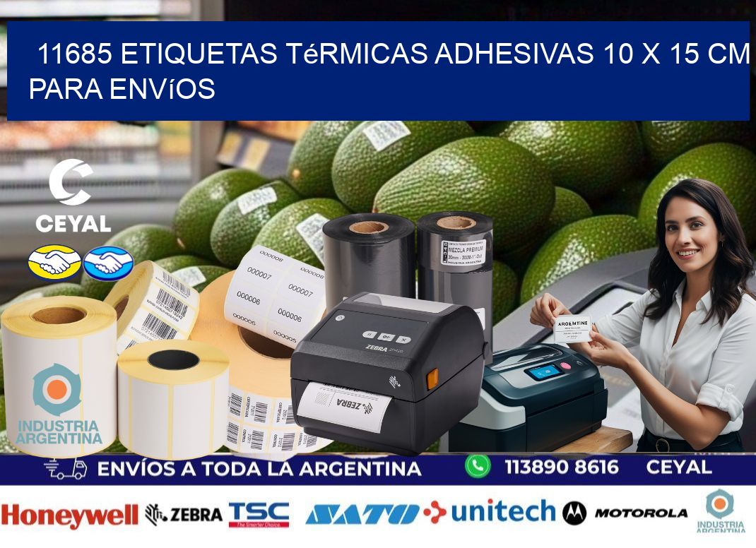 11685 Etiquetas Térmicas Adhesivas 10 x 15 cm para Envíos