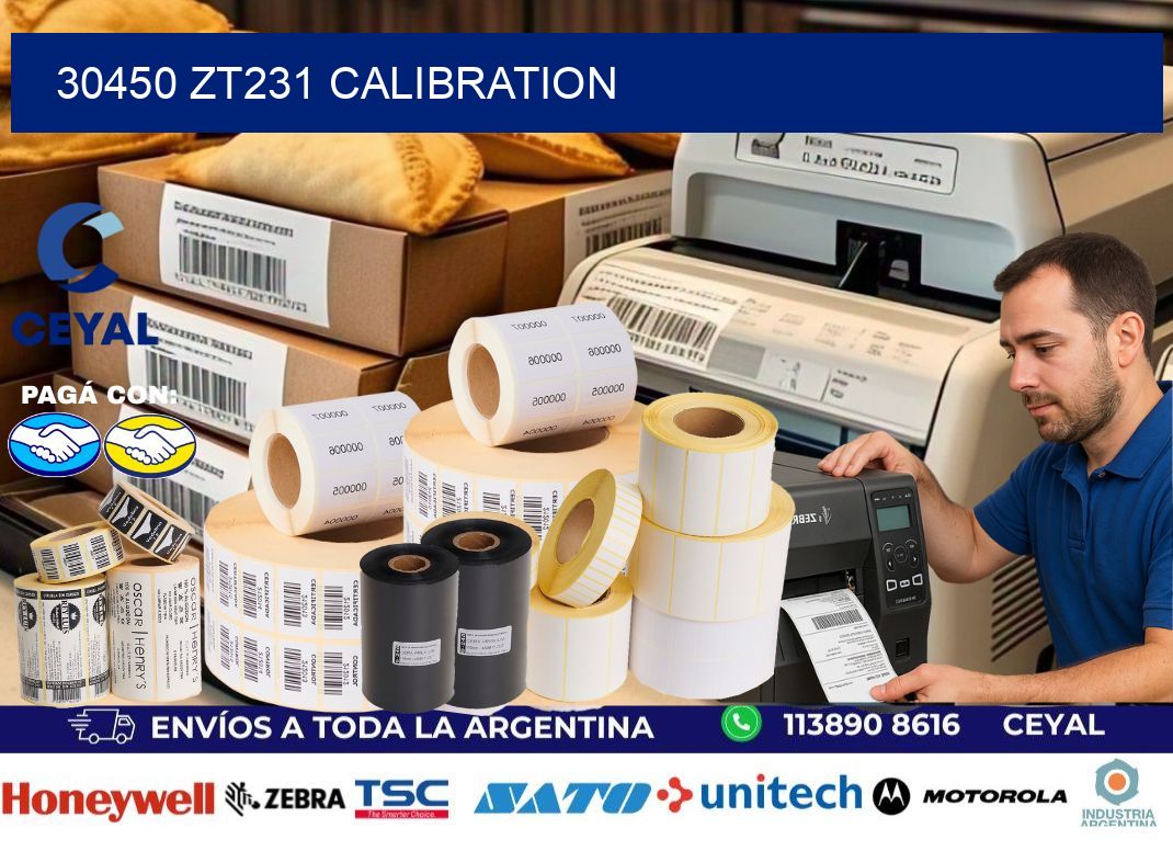 30450 ZT231 Calibration