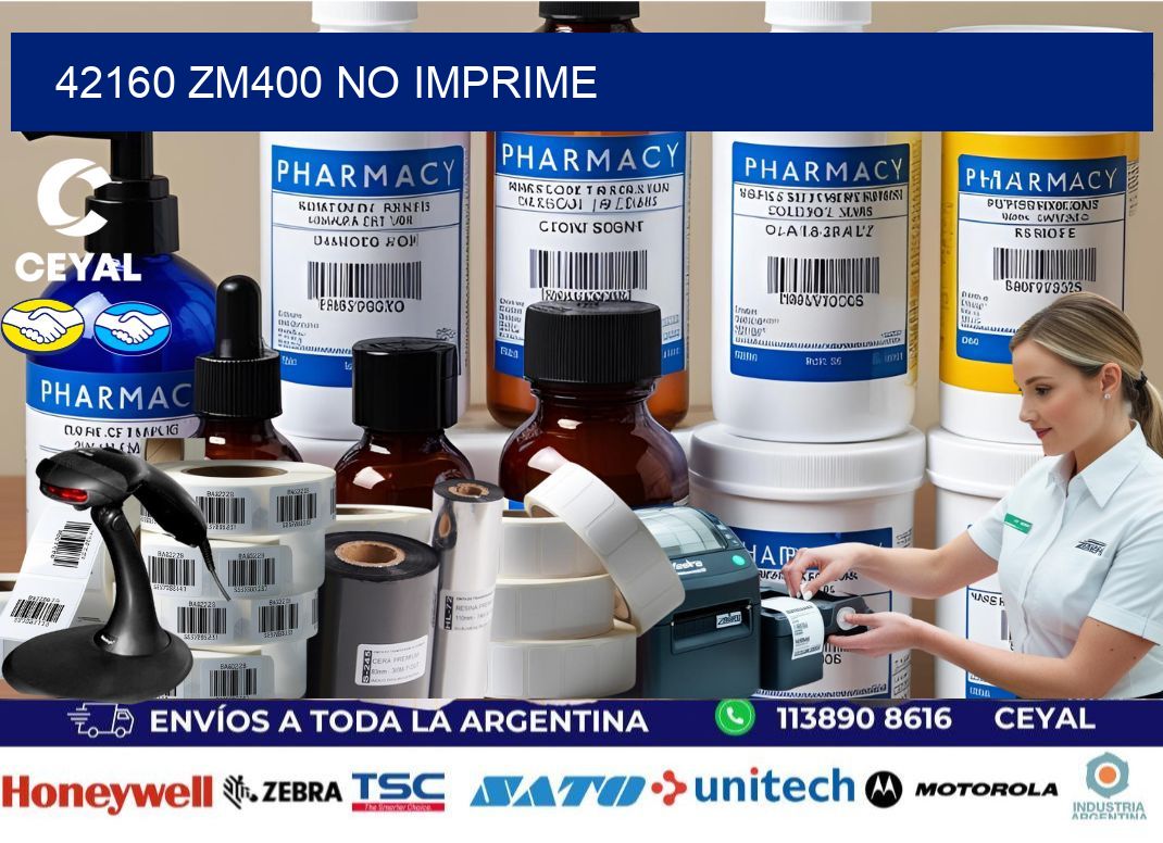 42160 ZM400 no imprime
