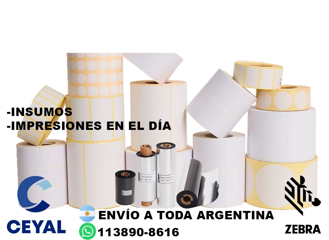 42205 Como reiniciar una impresora Zebra  ZD220