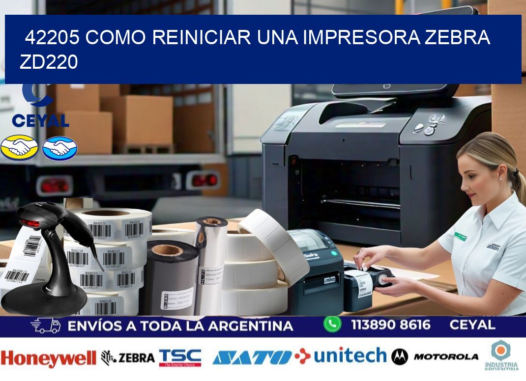 42205 Como reiniciar una impresora Zebra  ZD220