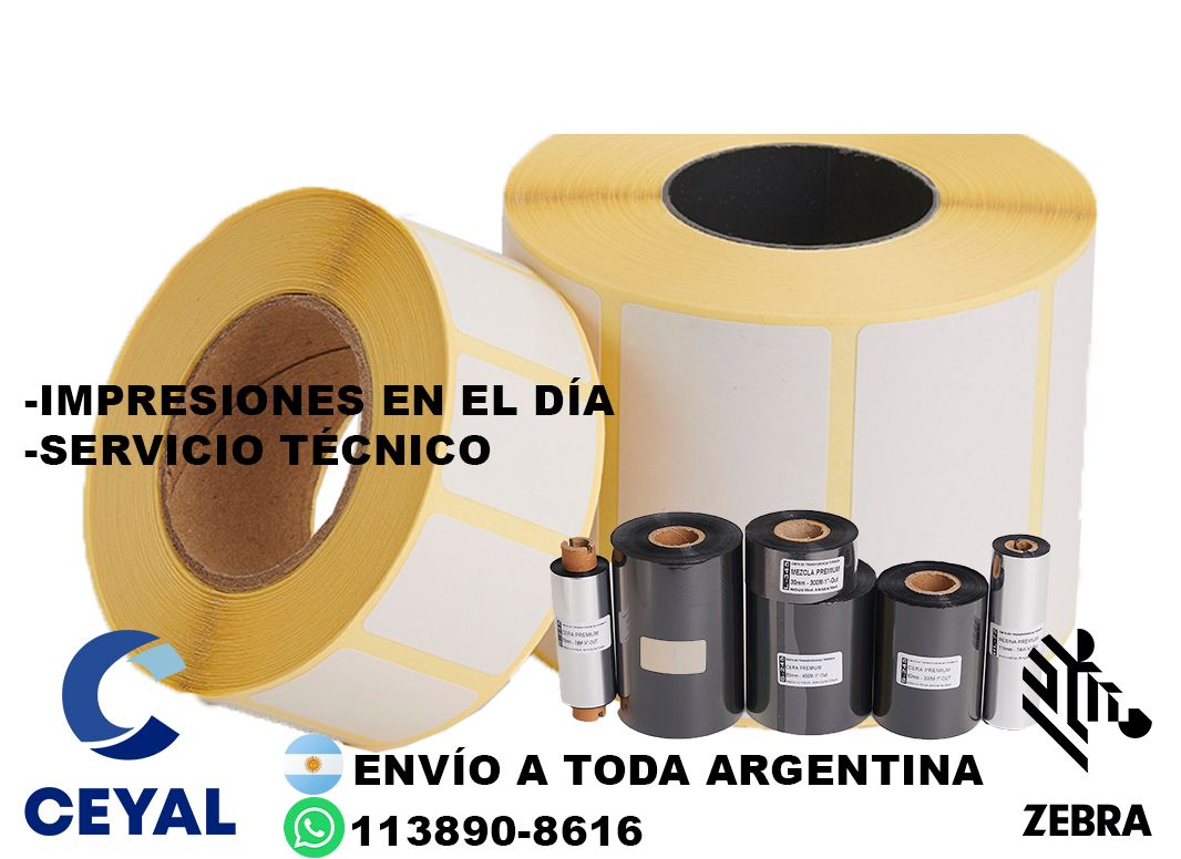 87555 Zebra ZD421 manual PDF