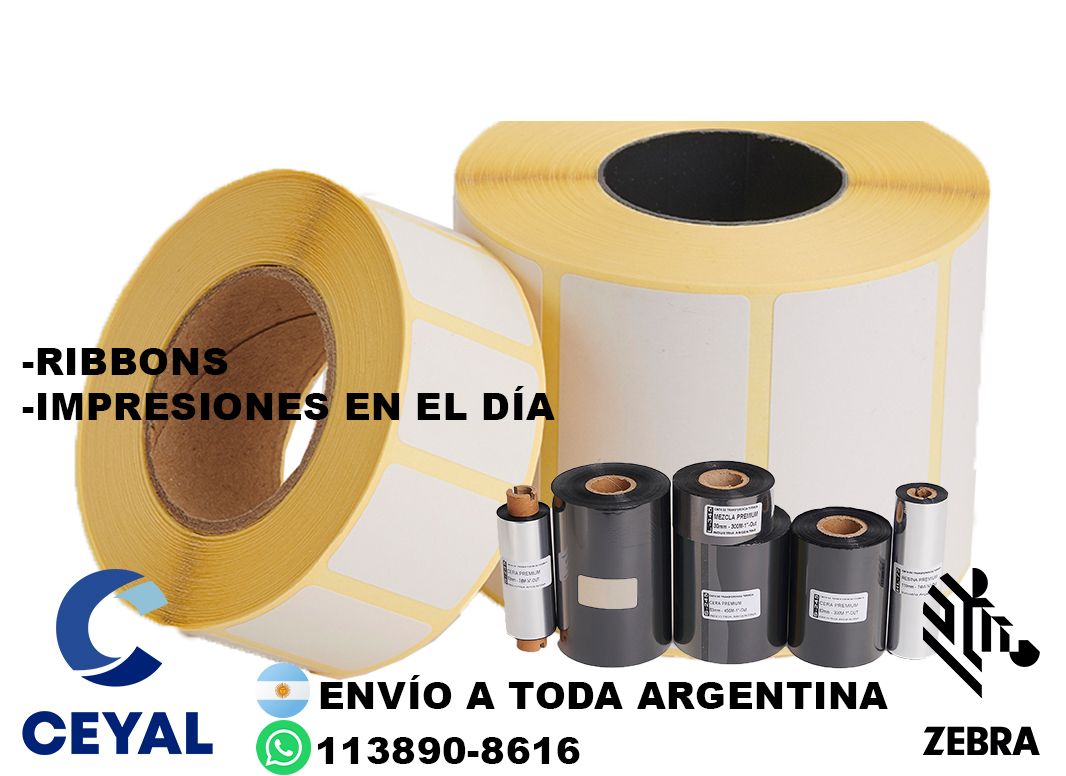 97055 Como instalar impresora Zebra  ZD220