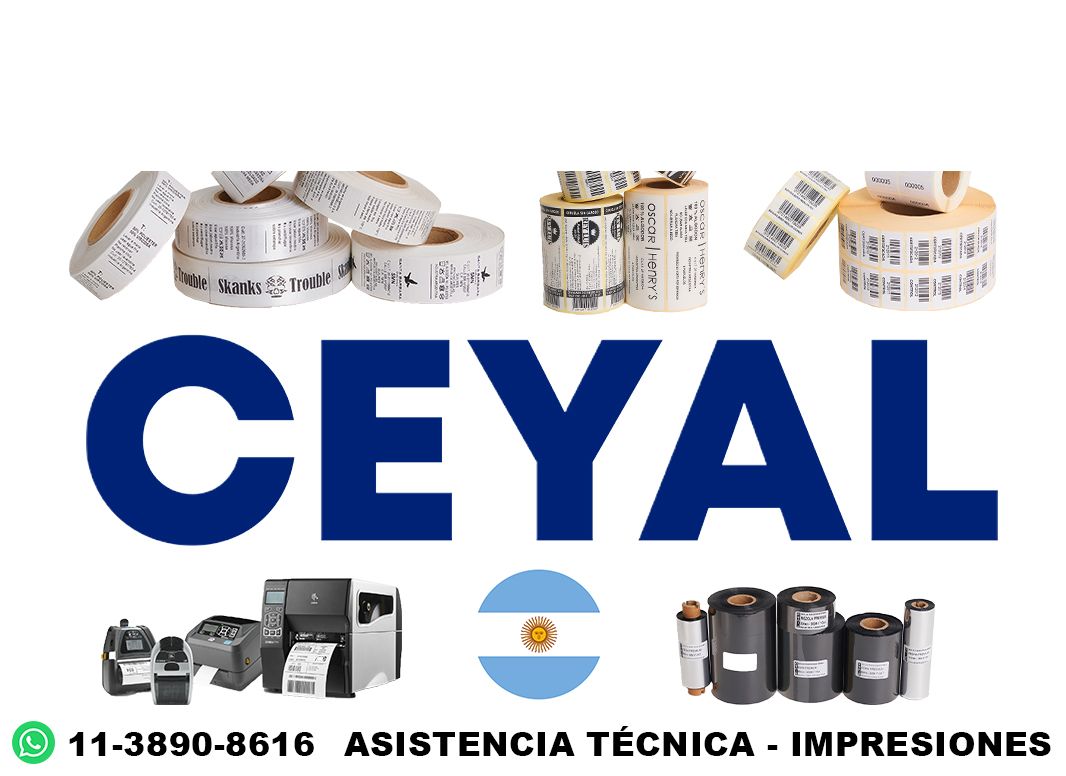 17030 problemas comunes impresora Zebra y soluciones GC420T