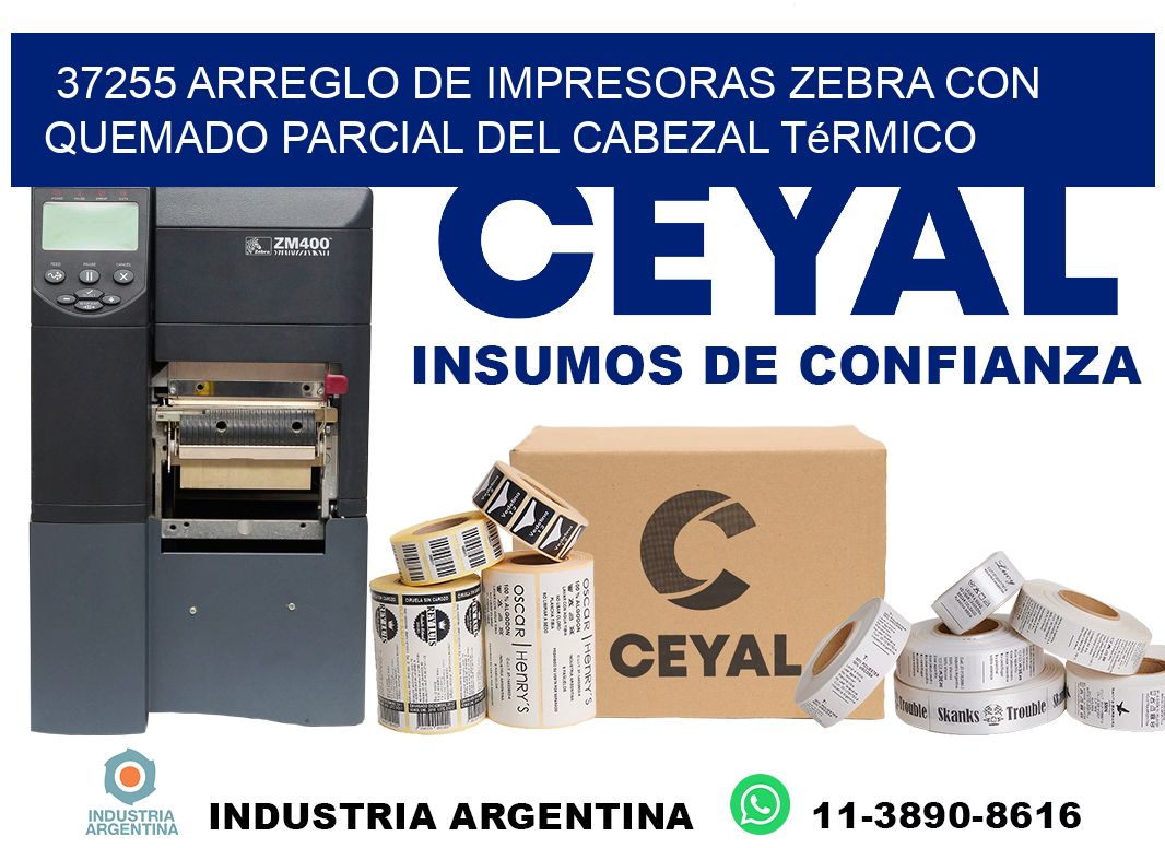 37255 arreglo de impresoras zebra con quemado parcial del cabezal térmico