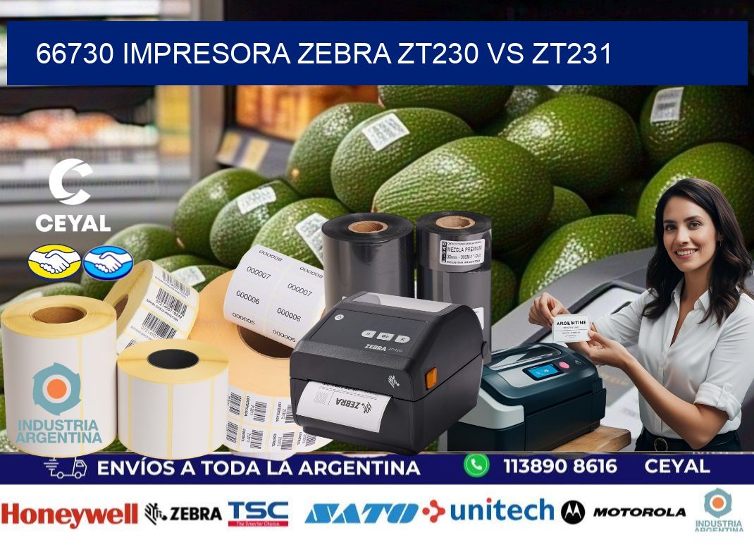 66730 impresora zebra zt230 vs zt231