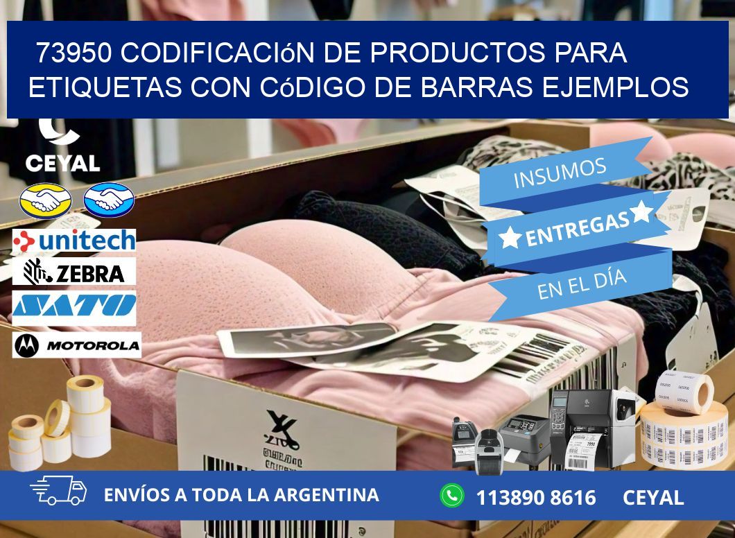 73950 Codificación de productos para etiquetas con código de barras ejemplos