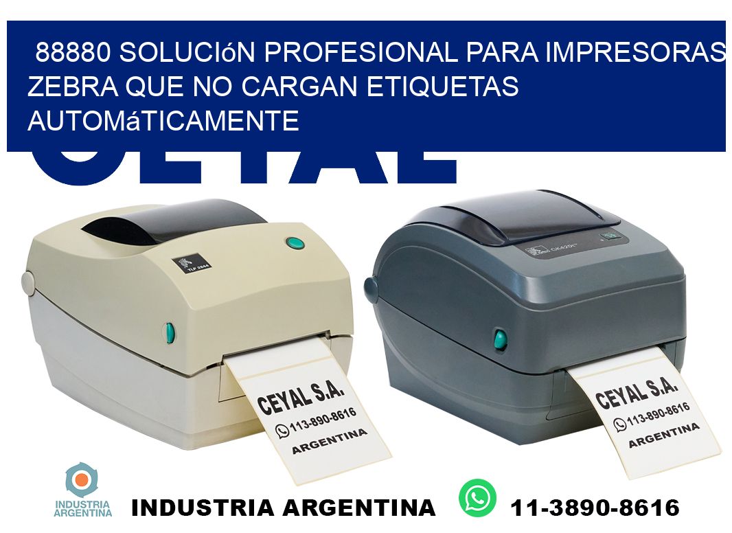 88880 solución profesional para impresoras zebra que no cargan etiquetas automáticamente