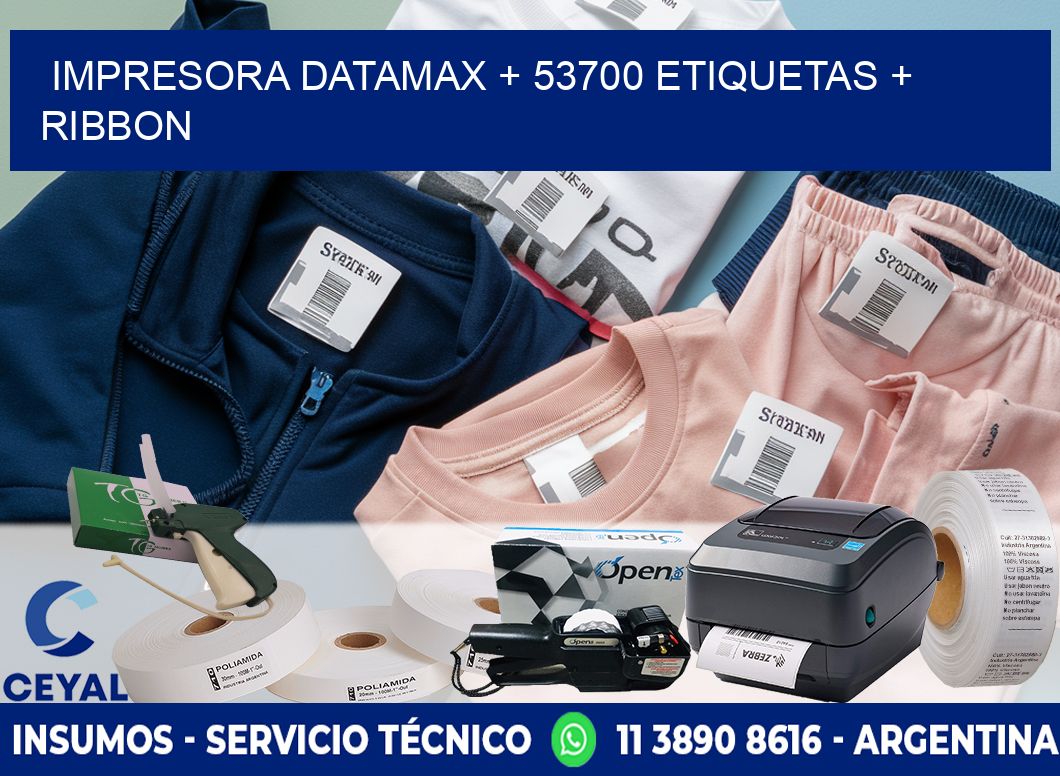 impresora DATAMAX + 53700 etiquetas + ribbon