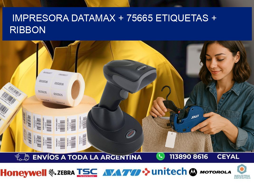 impresora DATAMAX + 75665 etiquetas + ribbon