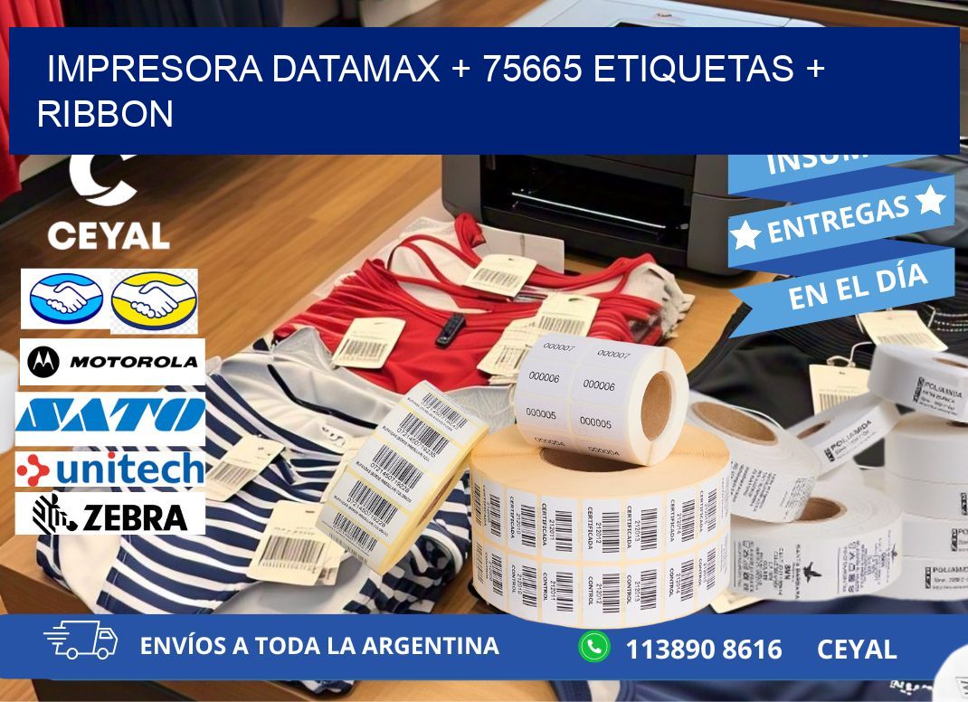 impresora DATAMAX + 75665 etiquetas + ribbon