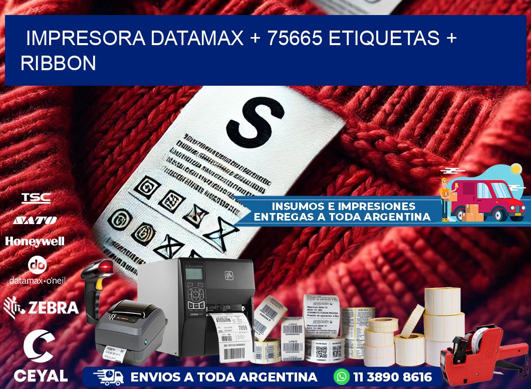 impresora DATAMAX + 75665 etiquetas + ribbon