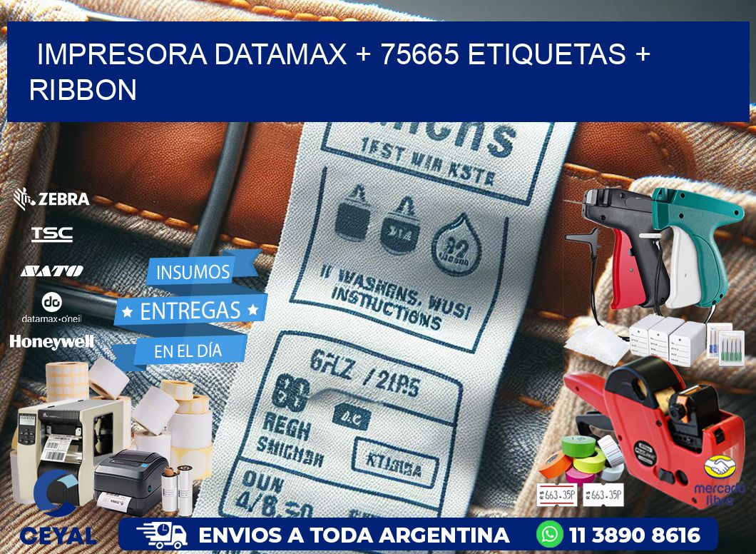 impresora DATAMAX + 75665 etiquetas + ribbon