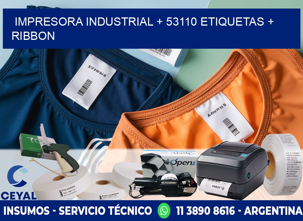 impresora industrial + 53110 etiquetas + ribbon
