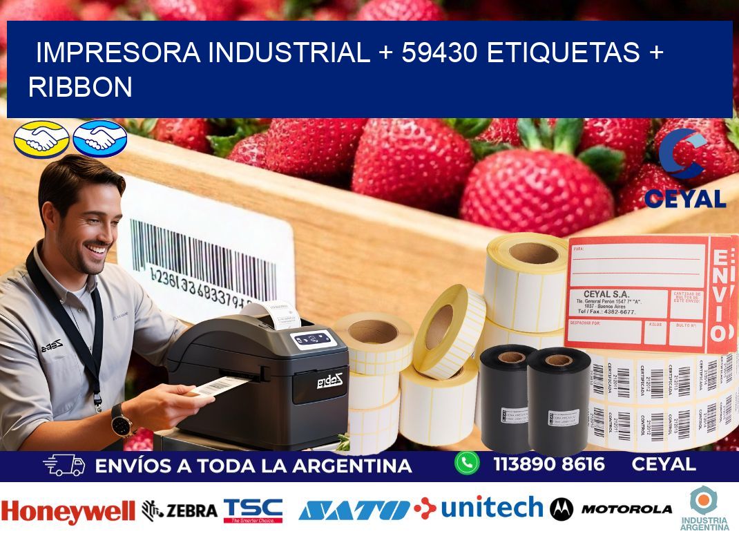 impresora industrial + 59430 etiquetas + ribbon