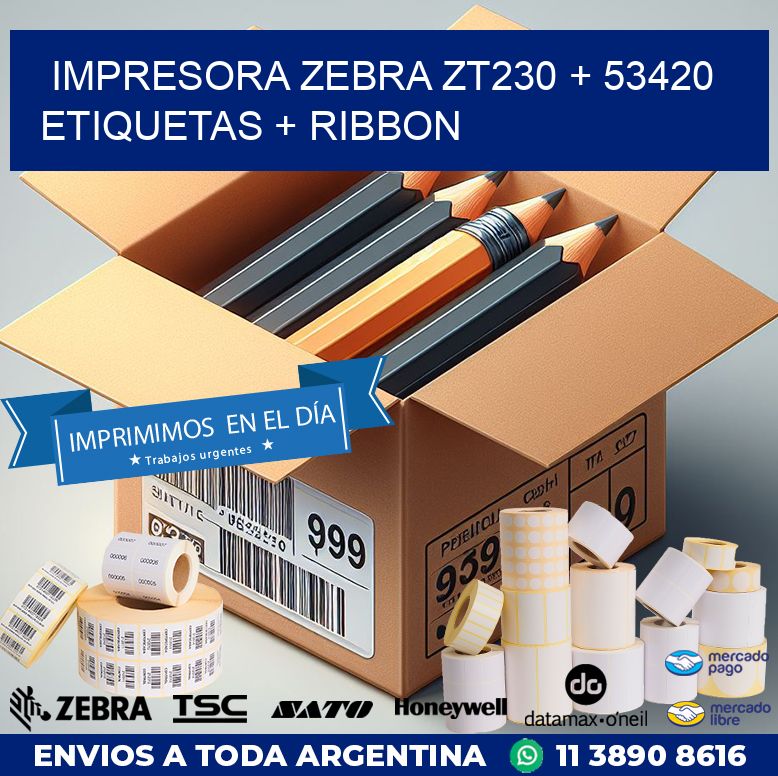 impresora zebra zt230 + 53420 etiquetas + ribbon