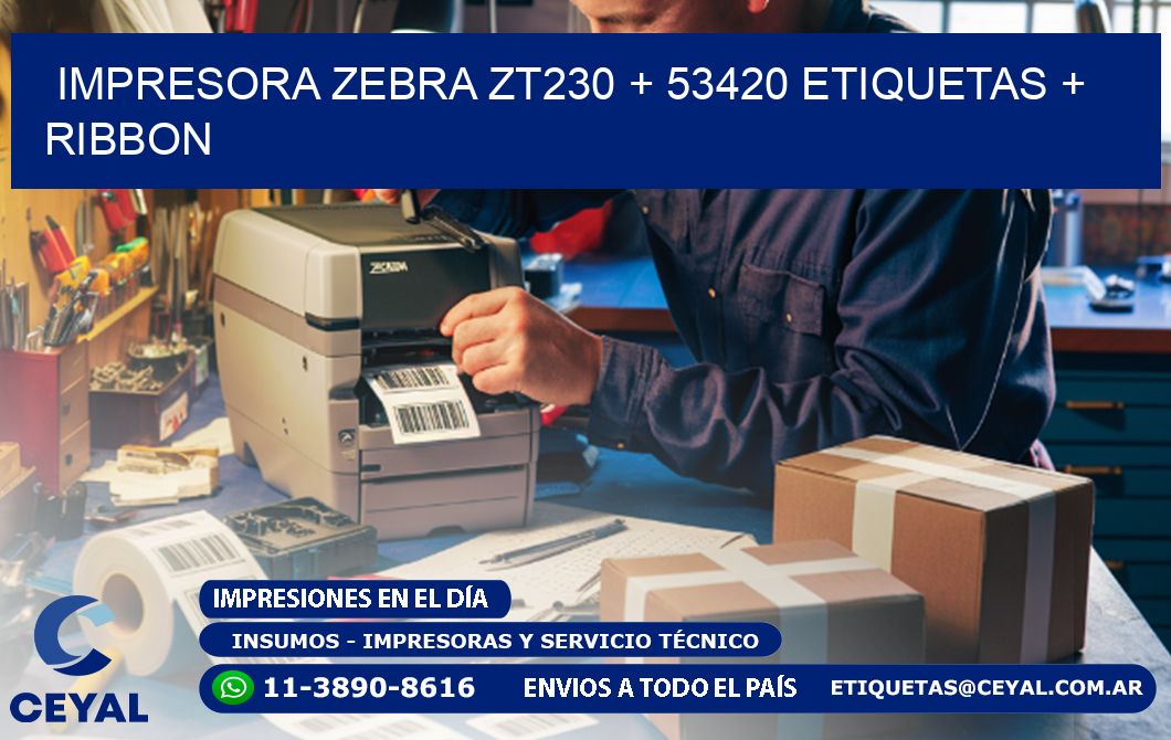 impresora zebra zt230 + 53420 etiquetas + ribbon