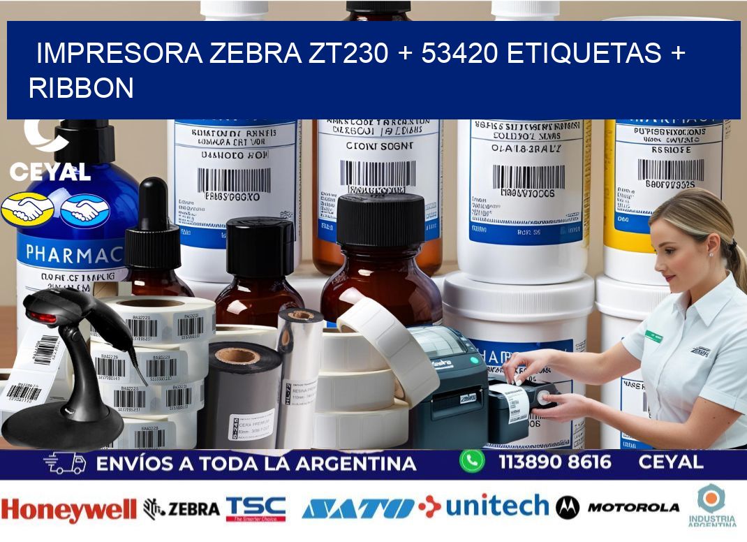 impresora zebra zt230 + 53420 etiquetas + ribbon
