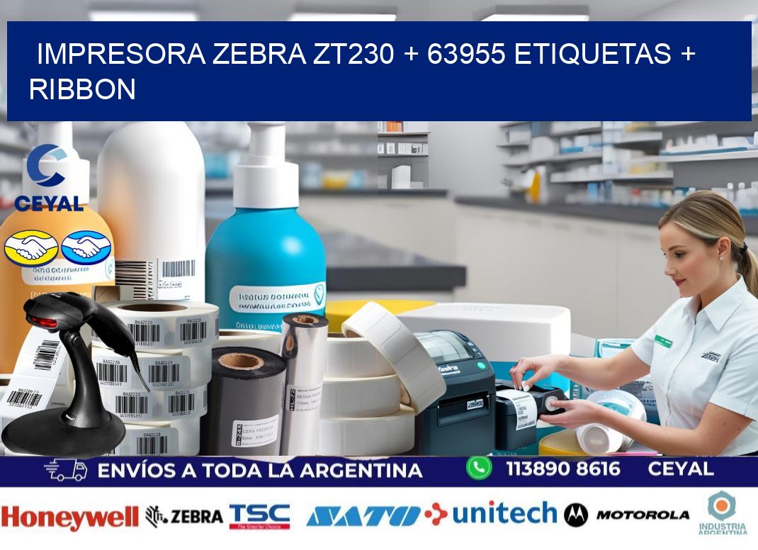 impresora zebra zt230 + 63955 etiquetas + ribbon