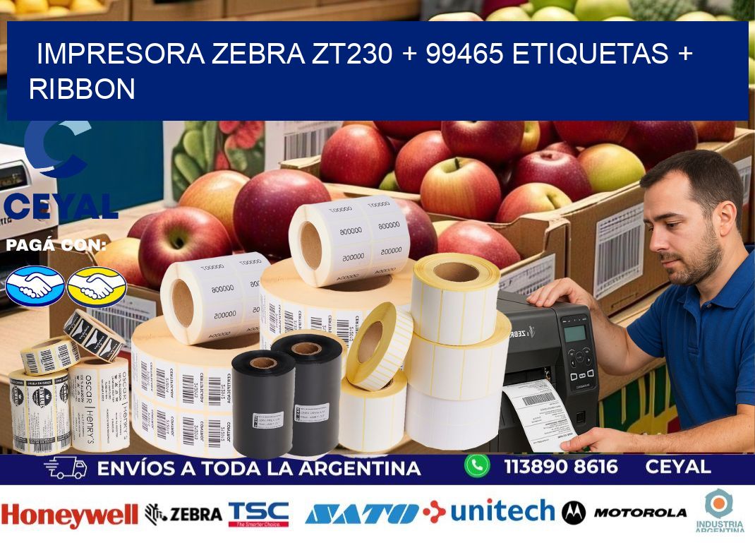 impresora zebra zt230 + 99465 etiquetas + ribbon