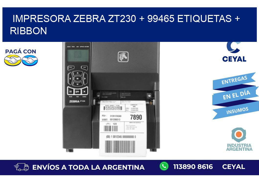 impresora zebra zt230 + 99465 etiquetas + ribbon