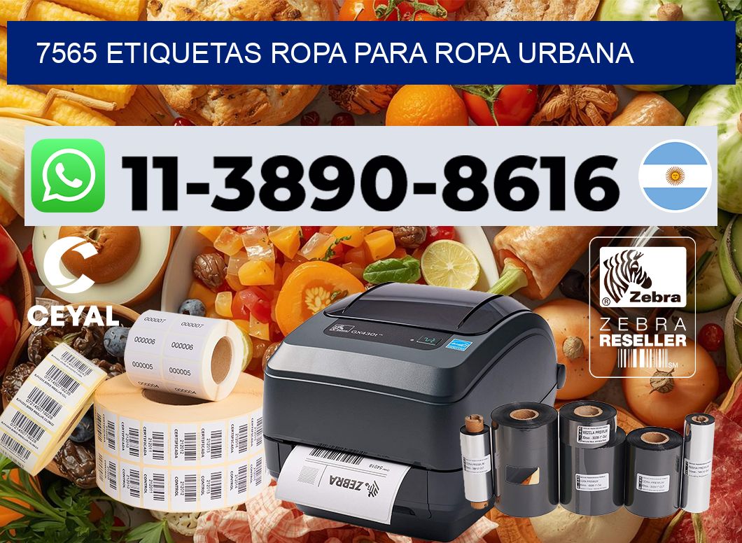 7565 Etiquetas ropa para ropa urbana