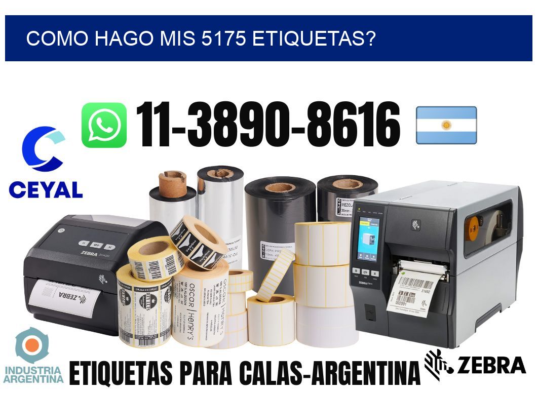 como hago mis 5175 etiquetas?