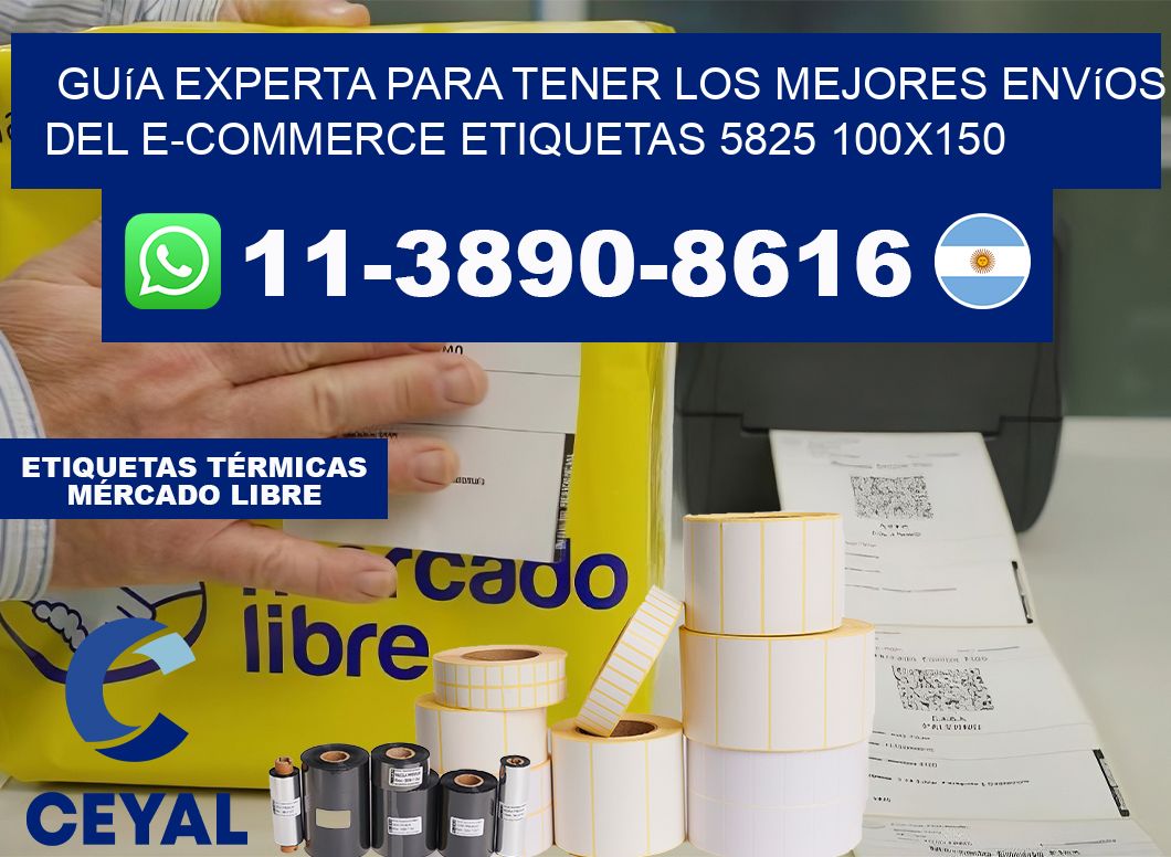 Guía experta para tener los mejores envíos del e-commerce etiquetas 5825 100×150