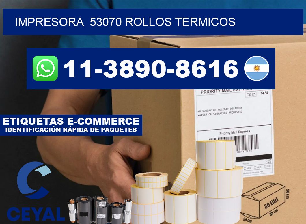 impresora  53070 rollos termicos