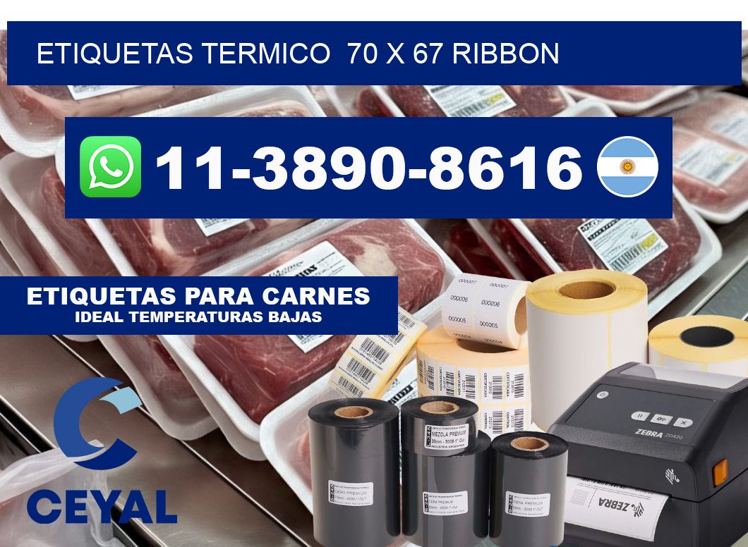 Etiquetas termico  70 x 67 ribbon