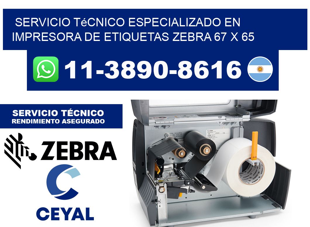Servicio Técnico Especializado en Impresora de Etiquetas Zebra 67 x 65