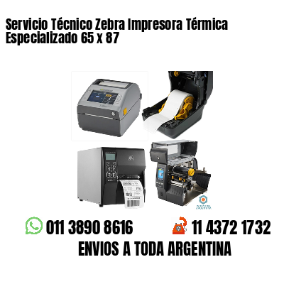 Servicio Técnico Zebra Impresora Térmica Especializado 65 x 87