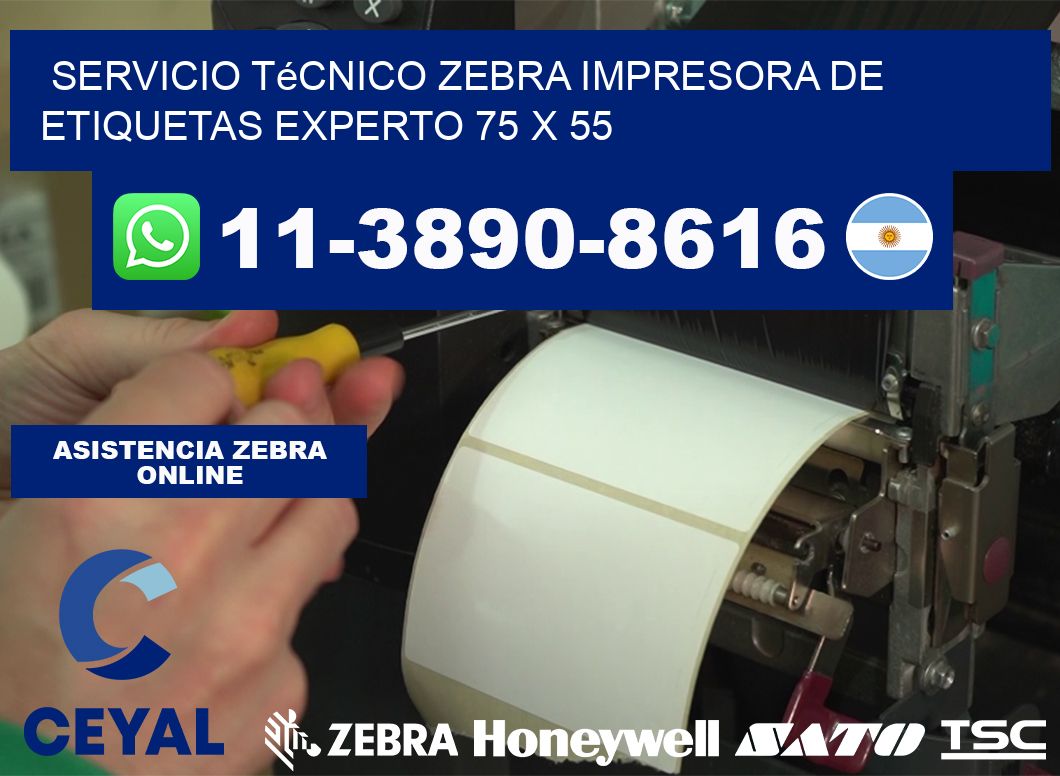Servicio Técnico Zebra Impresora de Etiquetas Experto 75 x 55
