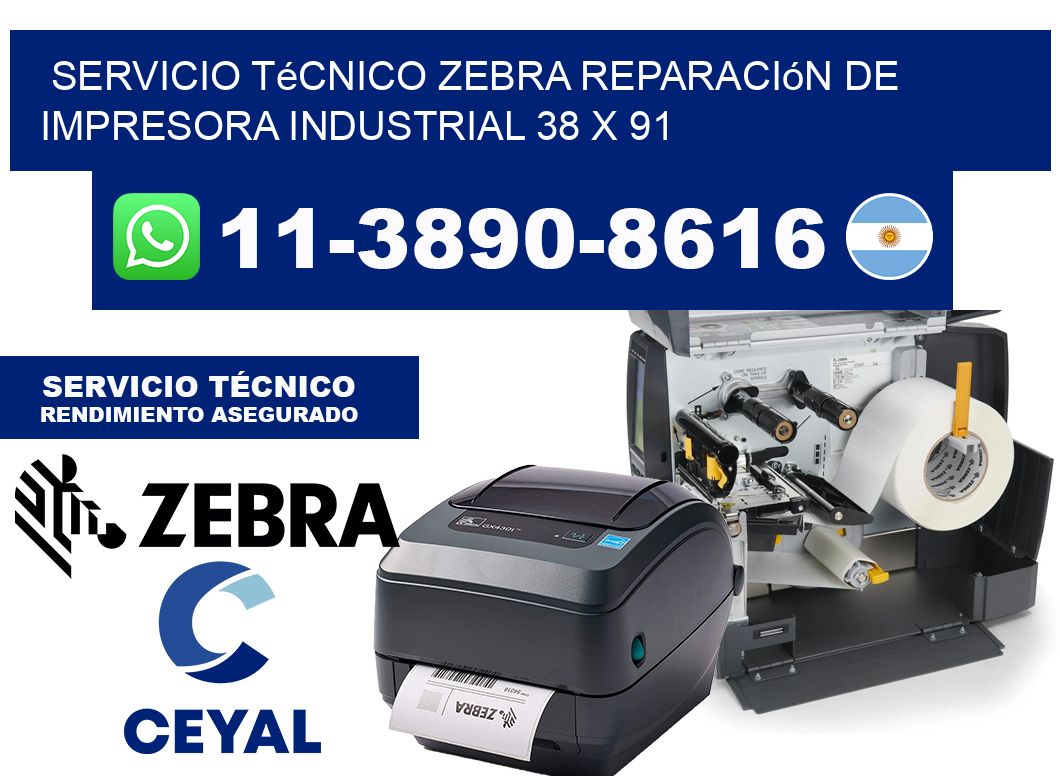 Servicio Técnico Zebra Reparación de Impresora Industrial 38 x 91