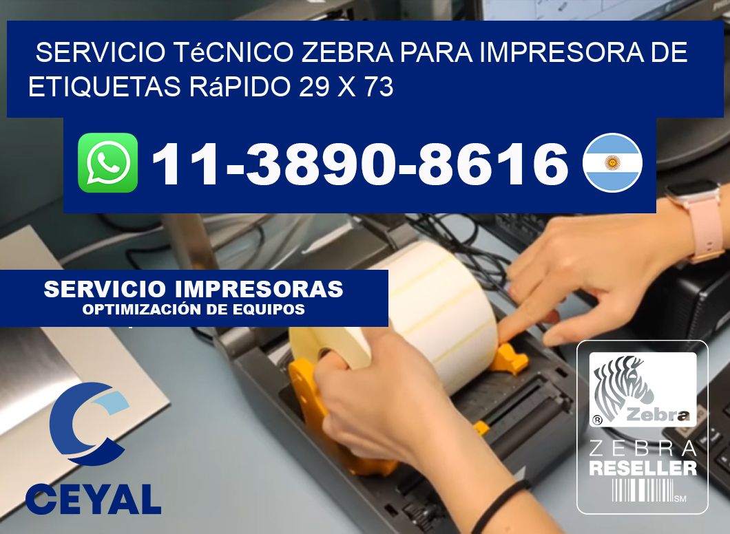 Servicio Técnico Zebra para Impresora de Etiquetas Rápido 29 x 73