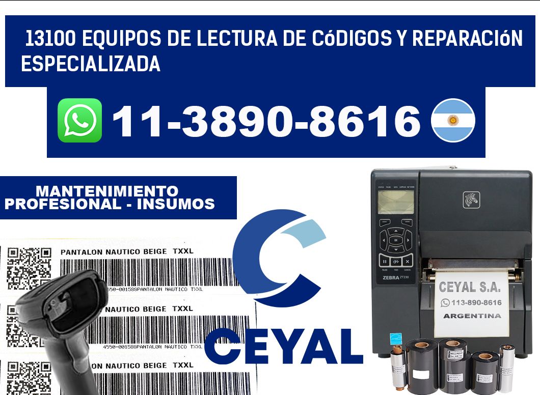 13100 Equipos de Lectura de códigos y Reparación Especializada
