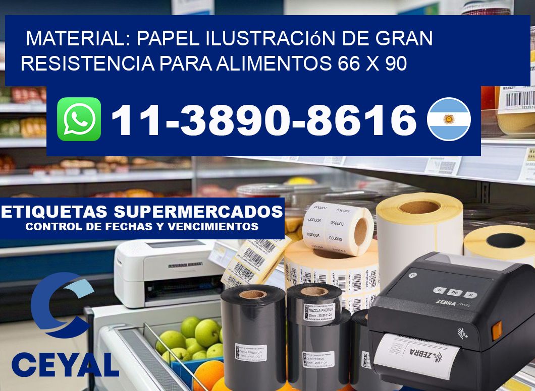 Material: papel ilustración de gran resistencia para alimentos 66 x 90