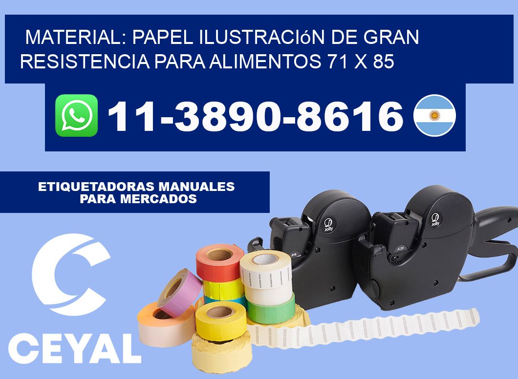 Material: papel ilustración de gran resistencia para alimentos 71 x 85