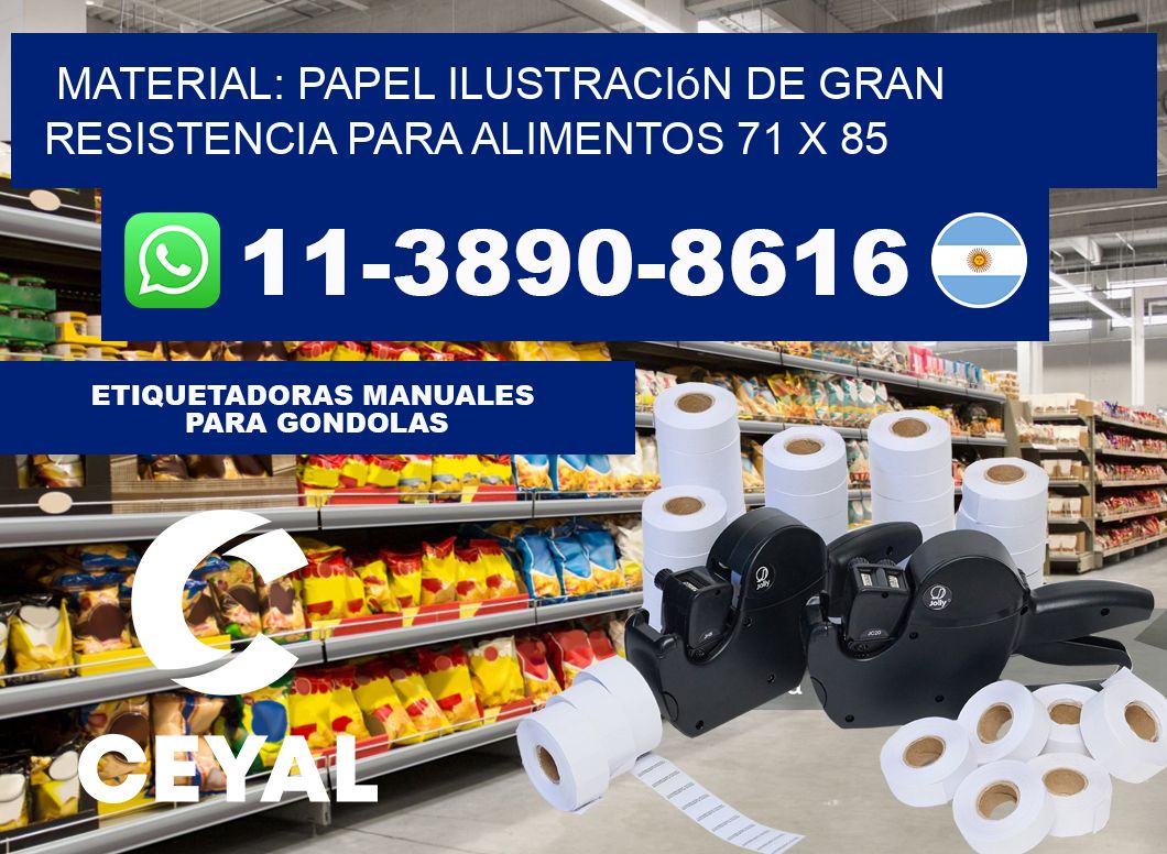 Material: papel ilustración de gran resistencia para alimentos 71 x 85