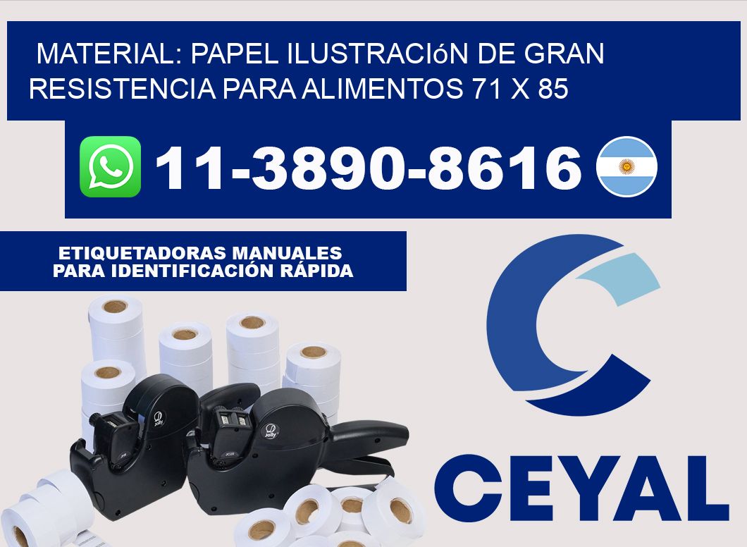 Material: papel ilustración de gran resistencia para alimentos 71 x 85
