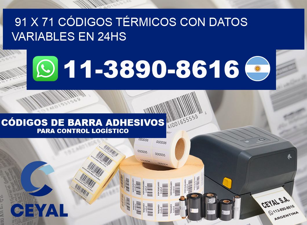 91 x 71 CÓDIGOS TÉRMICOS CON DATOS VARIABLES EN 24HS