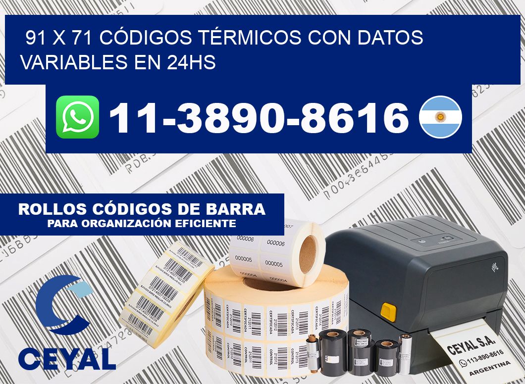 91 x 71 CÓDIGOS TÉRMICOS CON DATOS VARIABLES EN 24HS