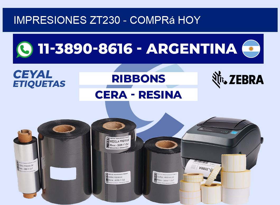 Impresiones ZT230 - Comprá hoy